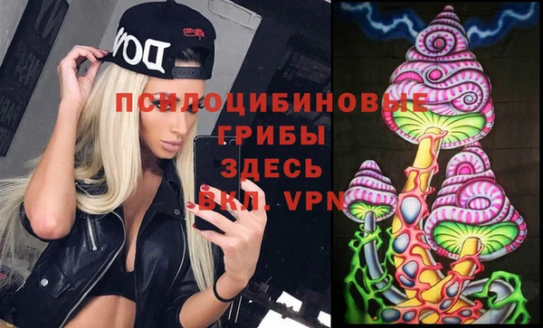 гашик Алзамай