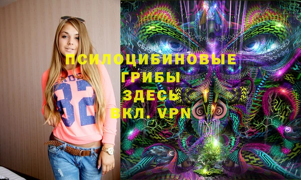 винт Алексин